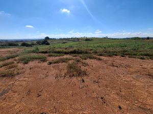 Image 4 - 923373