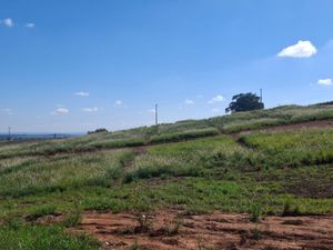 Image 7 - 923373