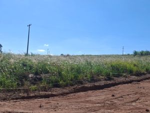 Image 3 - 923373