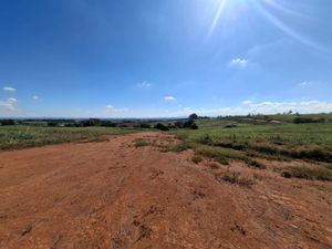 Image 6 - 923373
