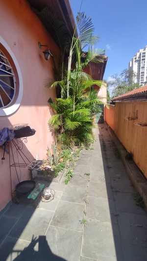 Image 3 - 923387