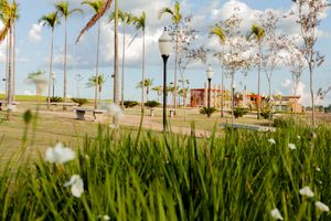 Image 9 - 923398