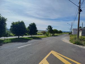 Image 7 - 923405