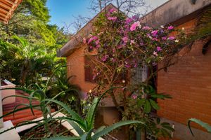 Image 13 - 923454