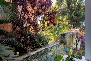 Image 24 - 923454