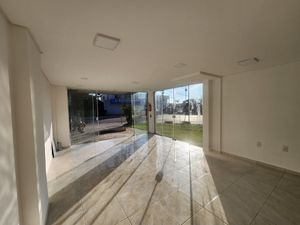 Image 6 - 923461