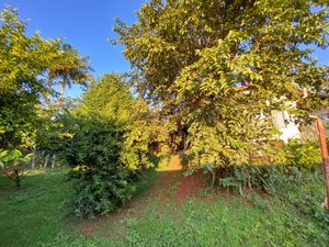 Image 42 - 923471