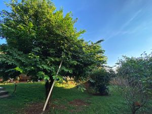 Image 41 - 923471