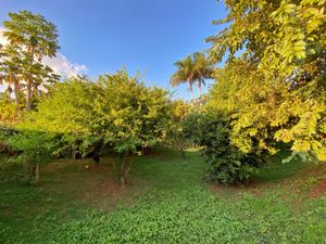 Image 43 - 923471