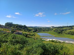 Image 3 - 923483