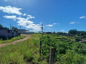 Image 2 - 923483