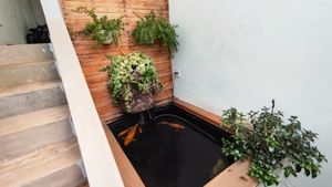 Image 9 - 923486
