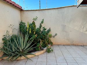 Image 83 - 923488