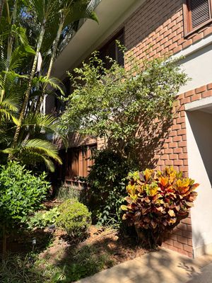 Image 19 - 923494