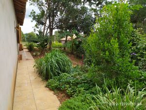 Image 13 - 923497