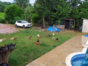 Image 17 - 923497