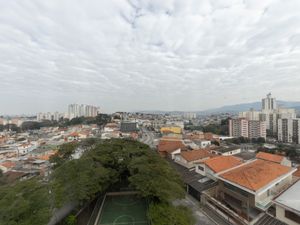 Image 14 - 923530