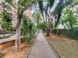 Image 20 - 923530