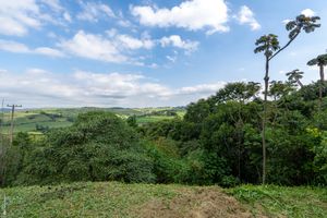 Image 73 - 923534