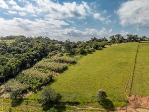 Image 43 - 923534