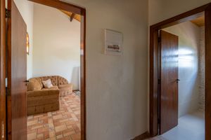 Image 66 - 923534