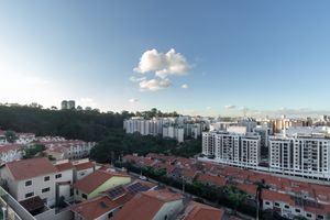 Image 13 - 923542