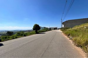 Image 7 - 923549