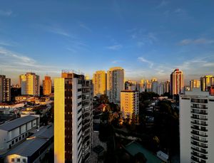 Image 81 - 923552