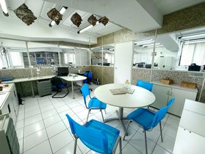 Image 38 - 923573