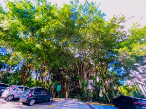 Image 81 - 923617
