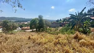 Image 4 - 923618