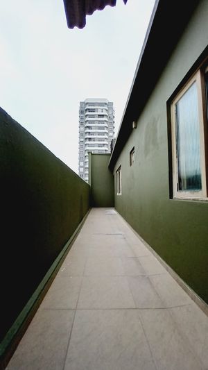 Image 8 - 923669