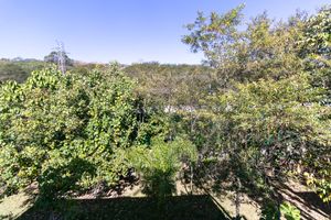 Image 23 - 923676