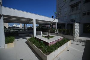 Image 20 - 923709