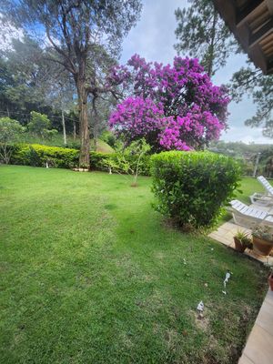 Image 7 - 923711