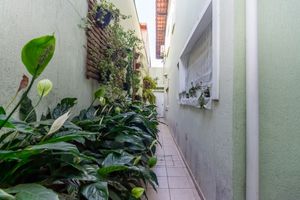 Image 33 - 923728