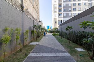 Image 35 - 923784
