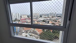 Image 11 - 923799