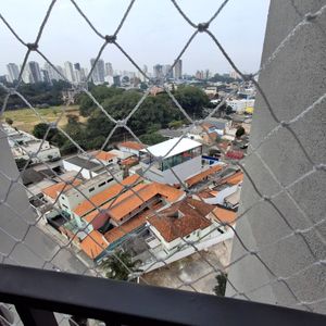 Image 18 - 923799