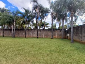 Image 27 - 923837