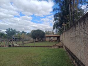 Image 29 - 923837