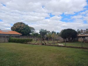 Image 43 - 923837