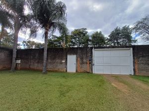 Image 47 - 923837