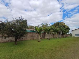 Image 31 - 923837