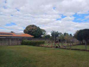 Image 37 - 923837