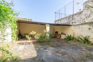 Image 6 - 923858