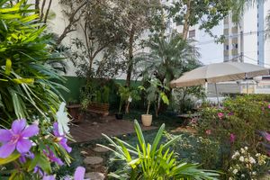 Image 49 - 923859
