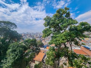 Image 3 - 923901