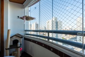 Image 8 - 923903