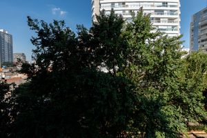Image 41 - 923910